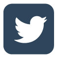 twitter social media icon